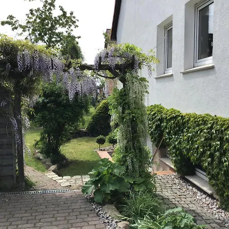 Sonnige Souterrain-Ferienwohnung Sassnitz Exterior photo