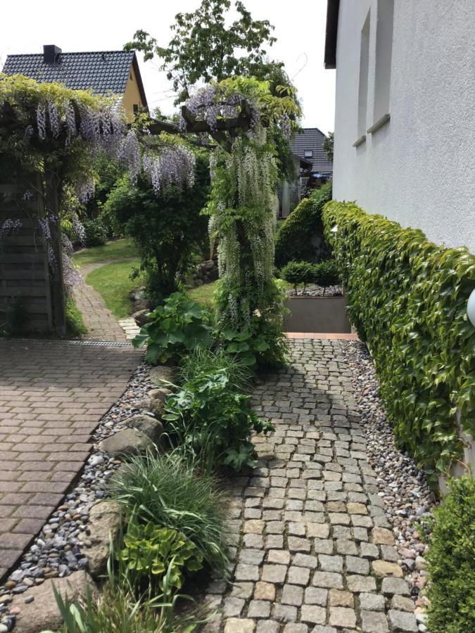 Sonnige Souterrain-ferienwohnung Apartment Sassnitz